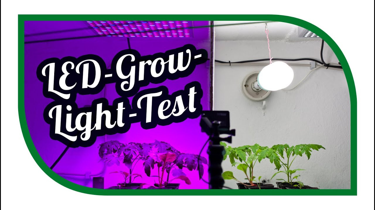 Led Grow Lampe
 Led Grow Lampe Test Andere welten