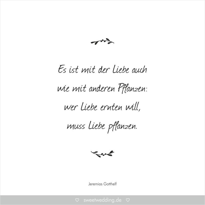 Liebeszitate Hochzeit
 Trausprüche & Zitate Hochzeit Liebe Glück "Es ist