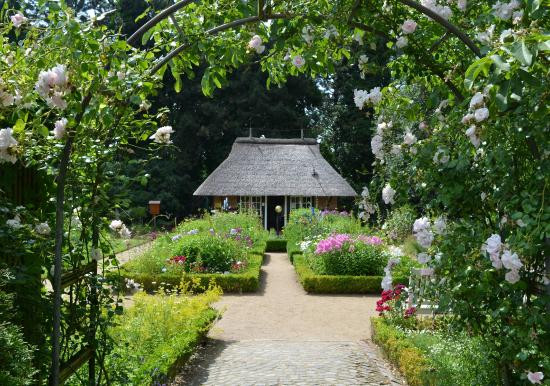 Loki Schmidt Garten
 Loki Schmidt Garten Botanical Garden Hamburg 2019