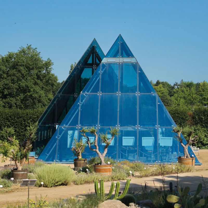 Loki Schmidt Garten Hamburg
 Botanischer Garten Loki Schmidt Garten