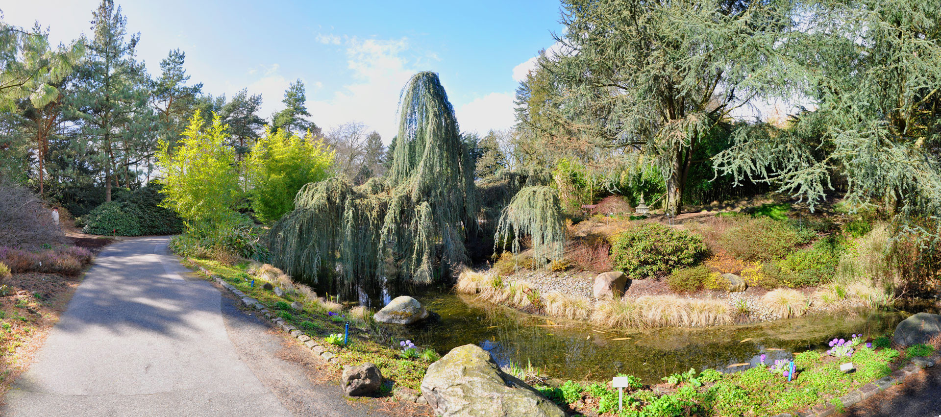 Loki Schmidt Garten Hamburg
 Ein Stück Altona Der Botanische Garten Hamburg Loki