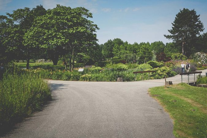 Loki Schmidt Garten Hamburg
 Der Loki Schmidt Garten – Grüne Ecken 3 – Geheimtipp Hamburg