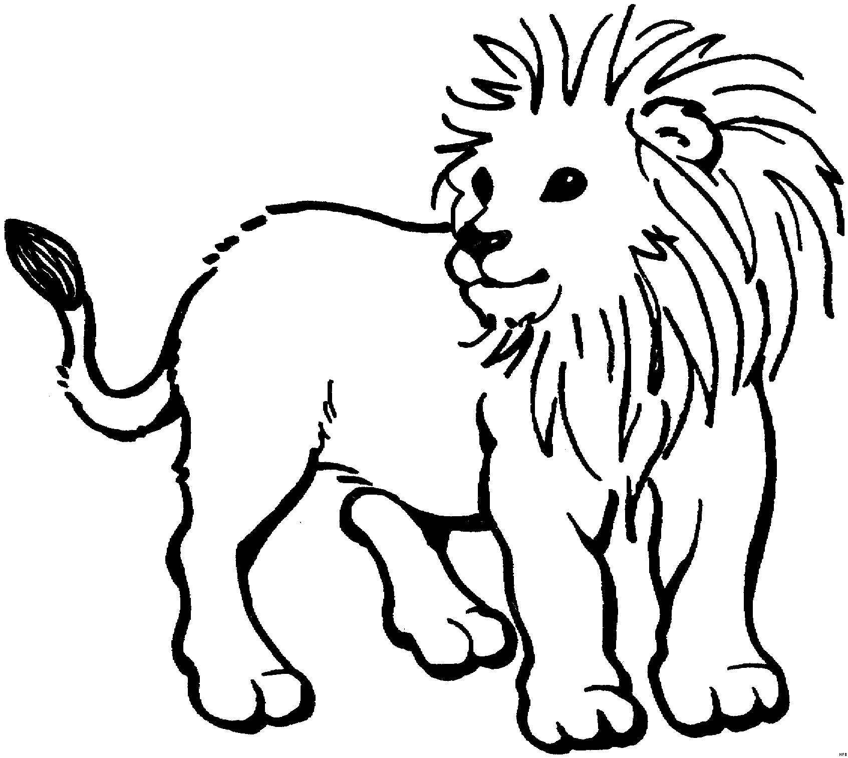 Лев в зоопарке раскраска