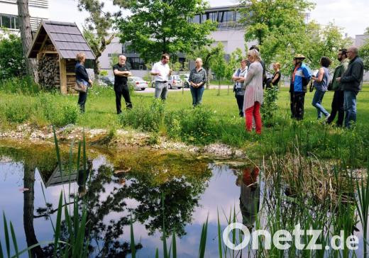 Lüdecke Amberg
 Gebirgsbachstelzen auf Lüdecke Gelände