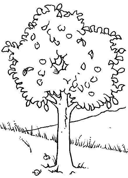 Malvorlagen Baum
 Ausmalbilder Malvorlagen – Baum kostenlos zum Ausdrucken