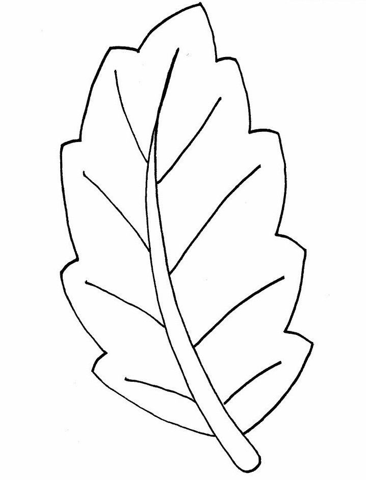Malvorlagen Blätter
 Ausmalbilder Malvorlagen – Blätter kostenlos zum