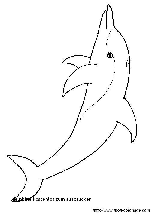 Malvorlagen Delfine Und Wassertiere Ausmalbilder
 10 Best Malvorlagen Delphin Malvorlagen Delfine Und