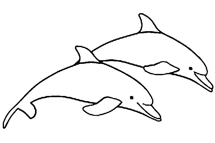 Malvorlagen Delfine Und Wassertiere Ausmalbilder
 Malvorlagen Delphin Malvorlagen Delfine Und Wassertiere