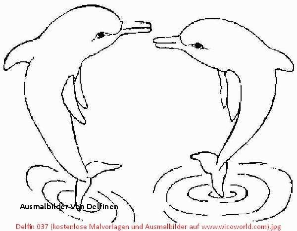 Malvorlagen Delfine Und Wassertiere Ausmalbilder
 10 Best Malvorlagen Delphin Malvorlagen Delfine Und