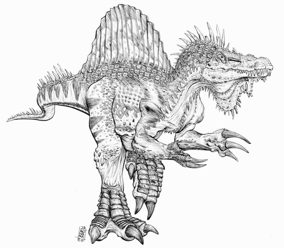 Malvorlagen Dinosaurier T-Rex
 Ausmalbild T rex Das Beste Von T Malvorlagen 37