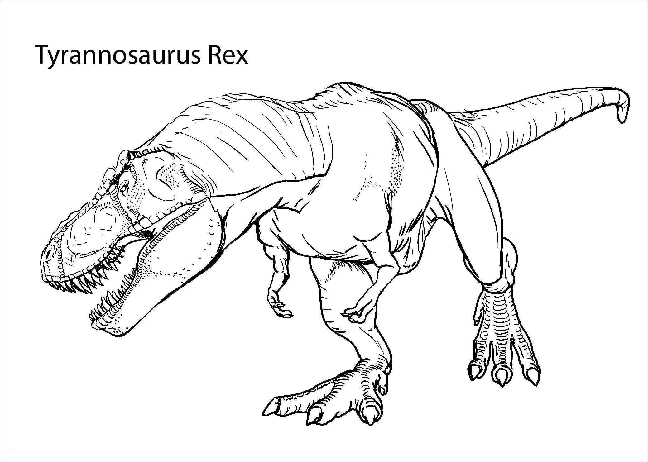 Malvorlagen Dinosaurier T-Rex
 Ausmalbild T rex Das Beste Von T Malvorlagen 37
