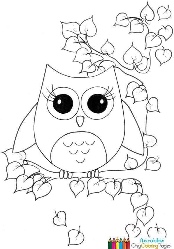 Malvorlagen Eule
 Eulen Ausmalbilder Coloring pages Pinterest