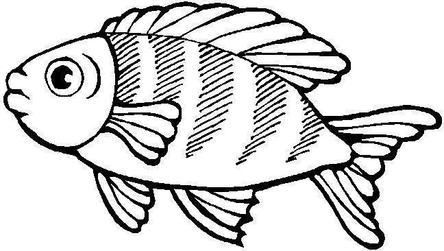 Malvorlagen Fisch
 DIBUJOS DE PECES
