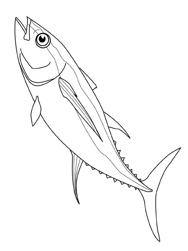 Malvorlagen Fisch
 Fisch Malvorlagen Malvorlagen1001