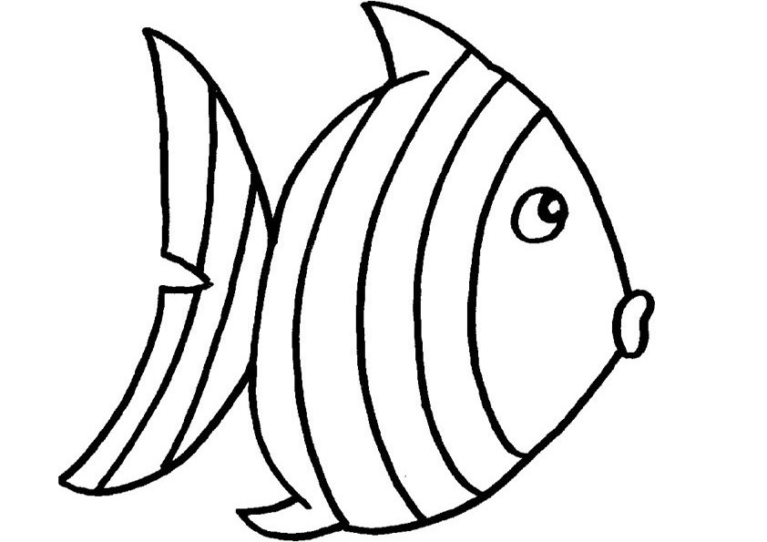 Malvorlagen Fische Zum Ausdrucken
 Fische ausmalbilder 16