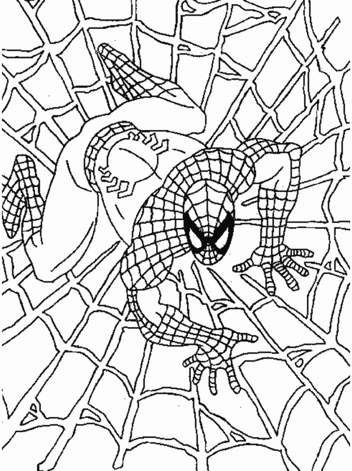 Malvorlagen Spiderman
 Malvorlagen Spiderman