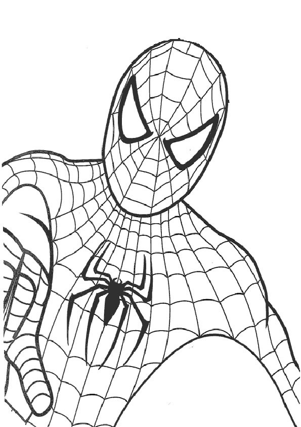 Malvorlagen Spiderman
 Malvorlagen Spiderman 10