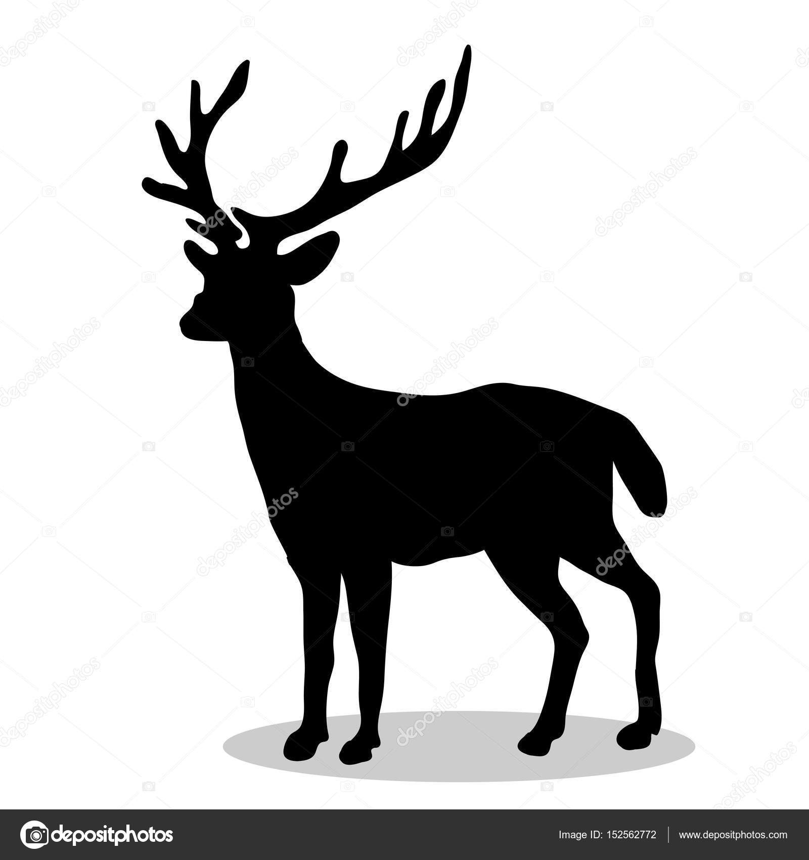 Malvorlagen Tiere Silhouette
 Hirsch Wald schwarze Silhouette Tiere — Stockvektor