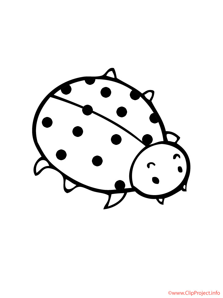 Marienkäfer Ausmalbilder
 Marienkäfer Ausmalbild kostenlos