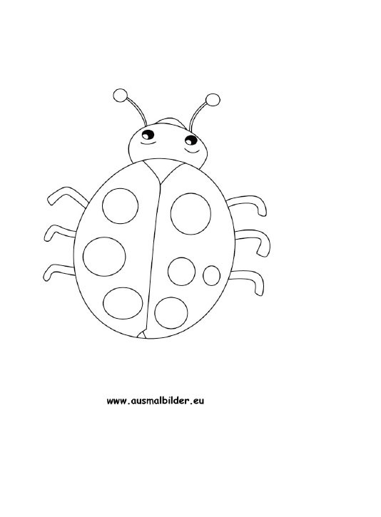 Marienkäfer Ausmalbilder
 Ausmalbilder Marienkäfer Marienkäfer Malvorlagen