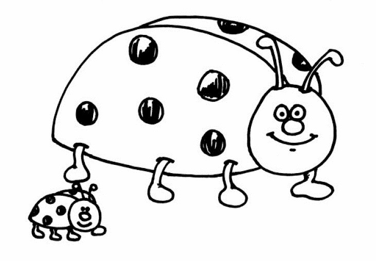 Marienkäfer Ausmalbilder
 Ausmalbilder Malvorlagen – Marienkäfer kostenlos zum