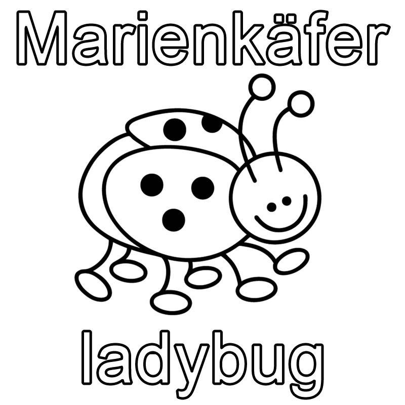 Marienkäfer Ausmalbilder
 Kostenlose Malvorlage Englisch lernen Marienkäfer