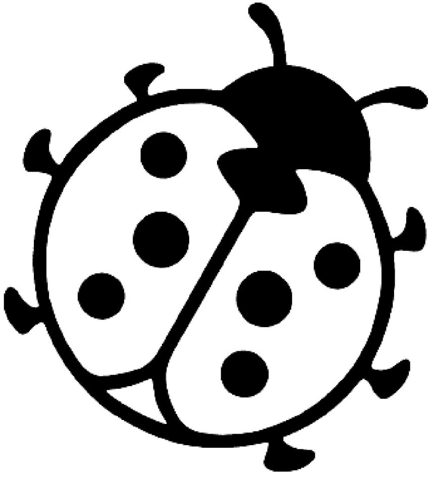 Marienkäfer Ausmalbilder
 Ausmalbilder marienkafer kostenlos Malvorlagen zum