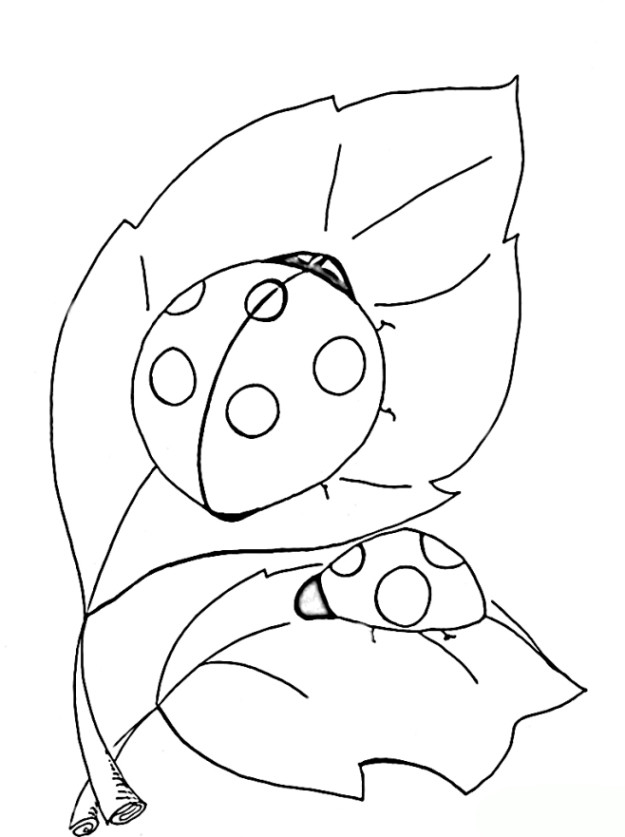 Marienkäfer Ausmalbilder
 Malvorlagen zum Ausmalen Ausmalbilder Marienkäfer gratis 4