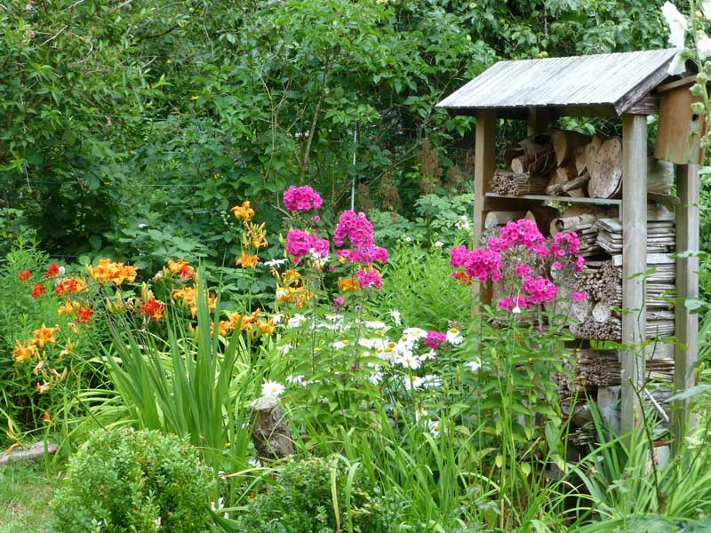 Mein Garten
 Die Kleingärtnerin Mein Garten