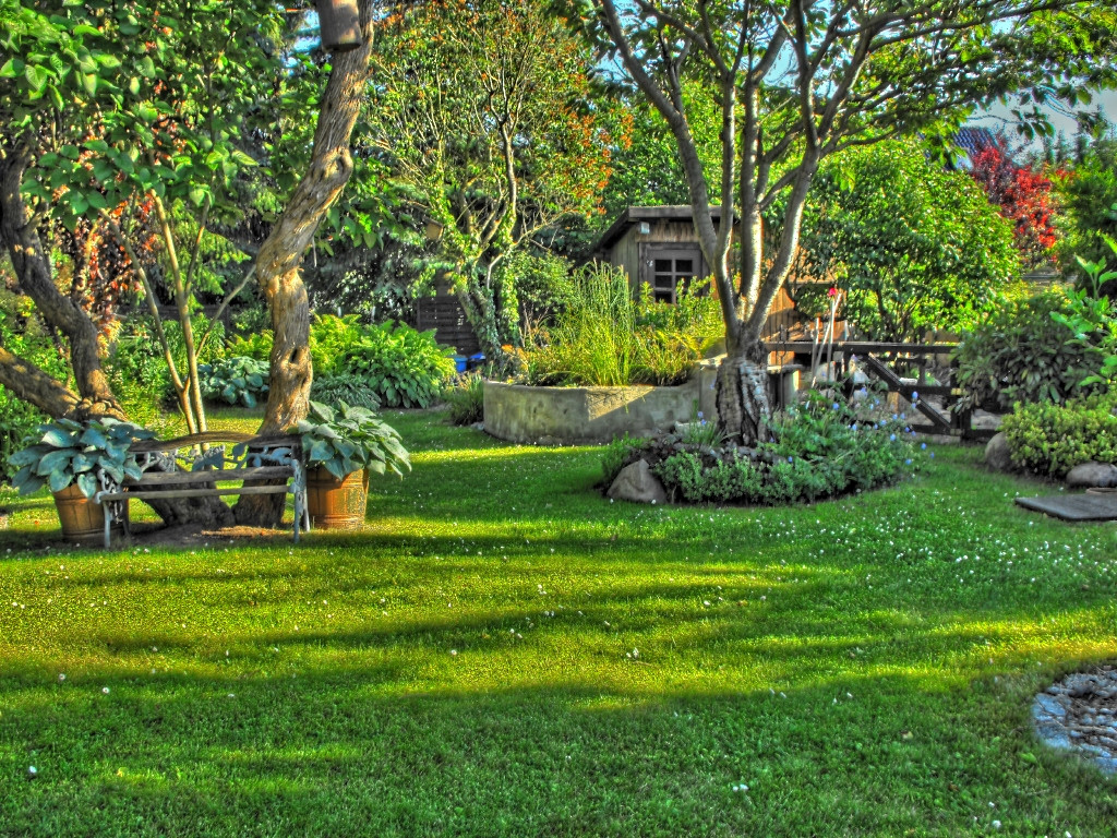 Mein Garten
 Mein schöner Garten HDR Foto & Bild