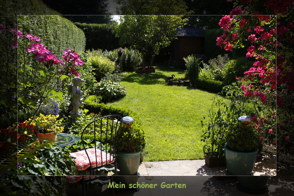 Mein Garten
 Mein Garten Foto & Bild