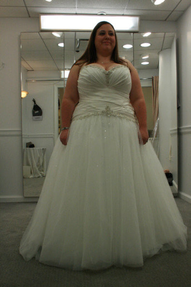 Mein Perfektes Hochzeitskleid
 Mein perfektes Hochzeitskleid Ein Kleid wie Cinderella
