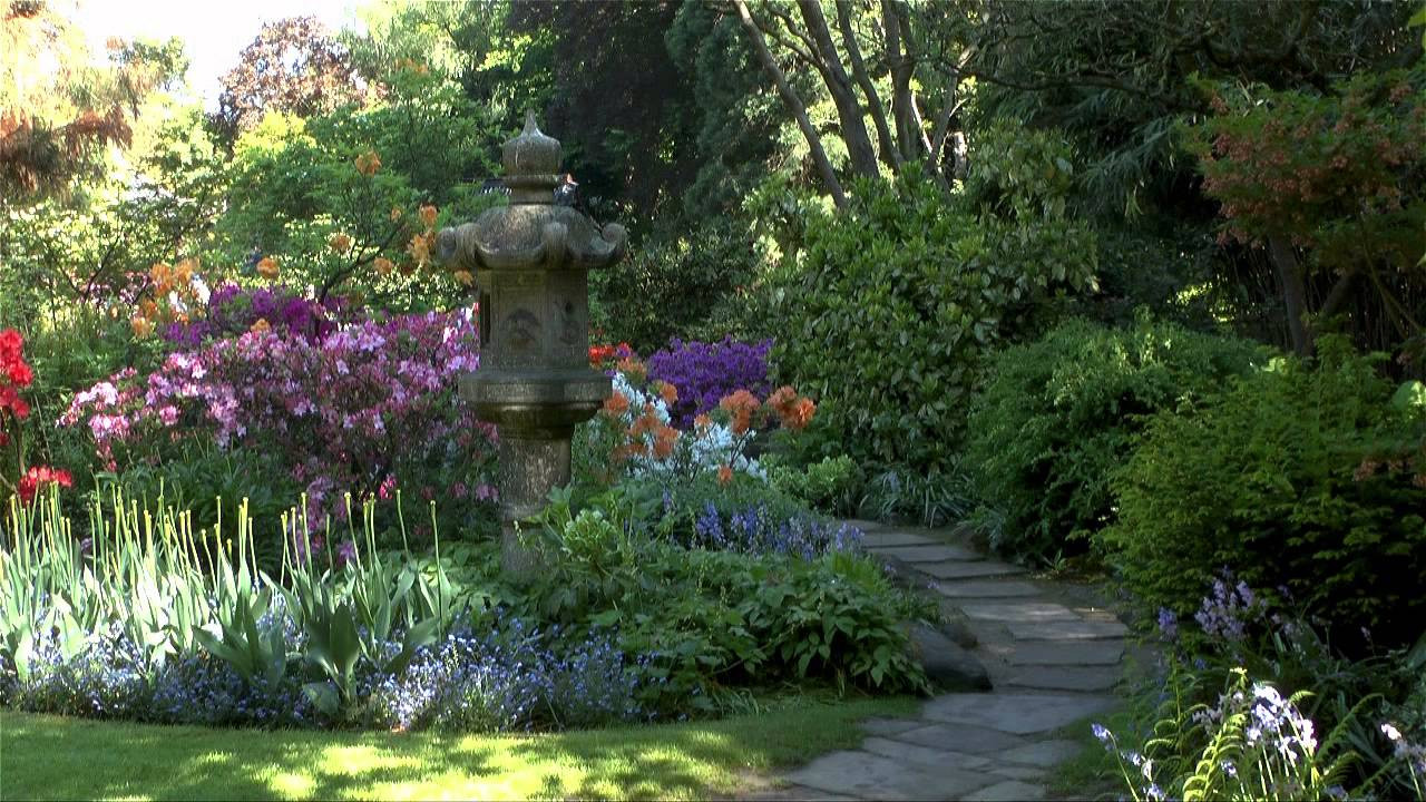 Mein Schöner Garten
 Ein schöner Garten im Frühjahr 2013