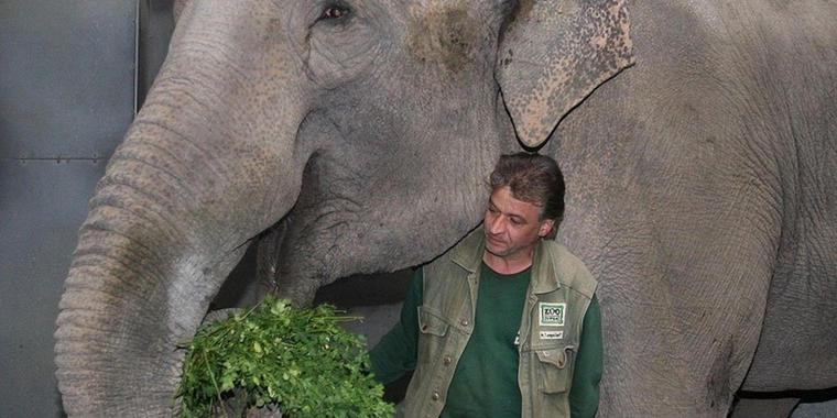 Michael Tempelhoff Hochzeit
 Für Affen basteln und Elefanten füttern Leipziger Zoo