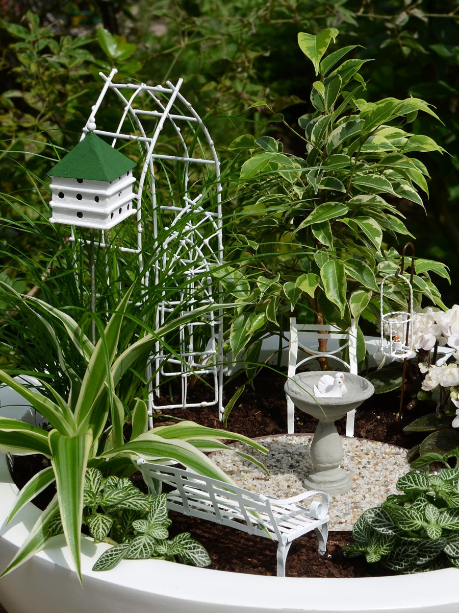Miniatur Garten
 Mini Gärten zum Träumen Der Miniatur Garten Shop
