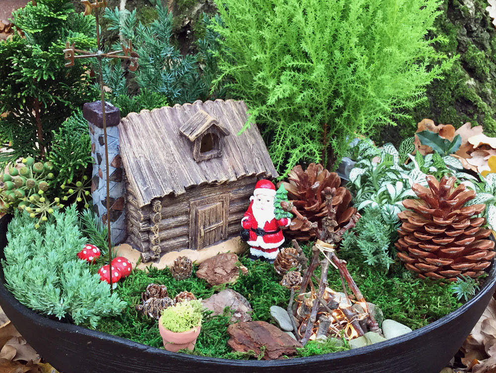 Miniatur Garten
 Mini Garten Waldlichtung – Miniatur Garten Shop