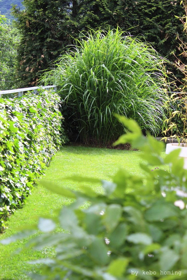Minimalistischer Garten
 Ein klar strukturierter minimalistischer Garten