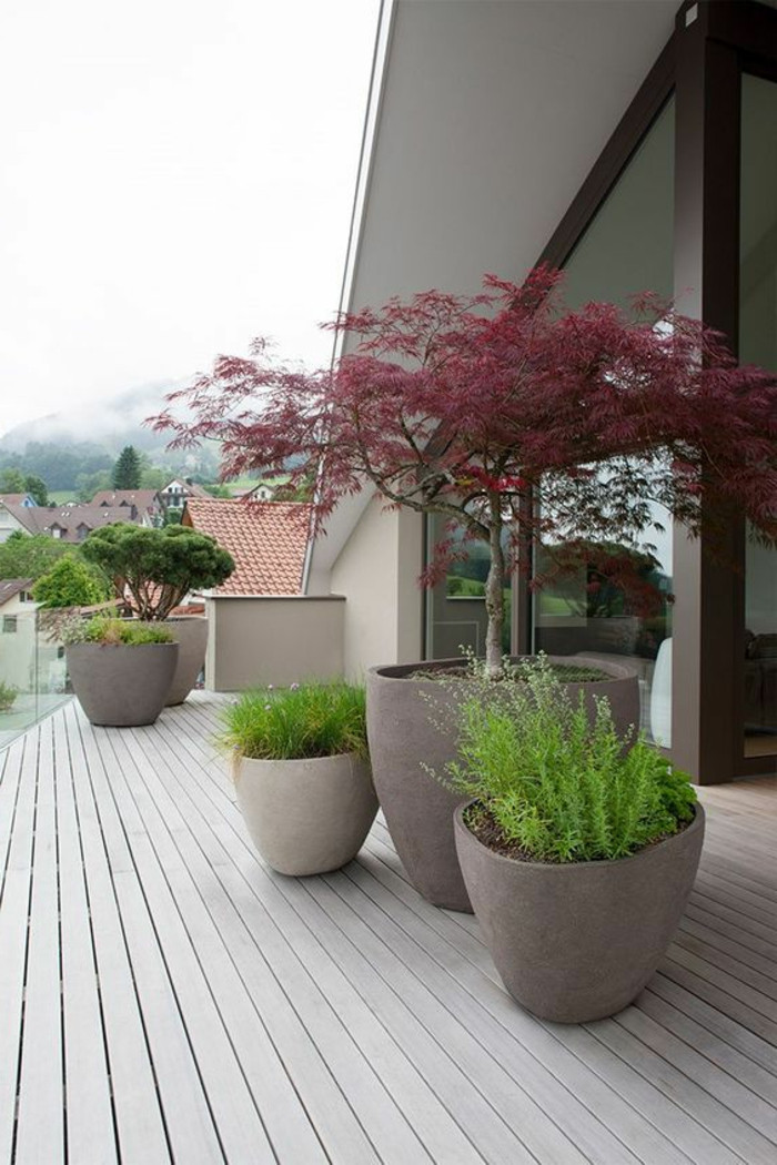 Minimalistischer Garten
 80 Ideen wie ein minimalistischer Garten aussieht