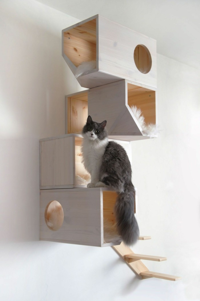 Möbel Aus Pappe
 Katzenhaus selber bauen 40 preisgünstige und praktische