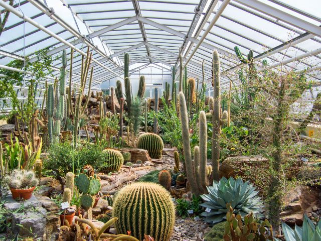 München Botanischer Garten
 Botanischer Garten in München Das offizielle Stadtportal