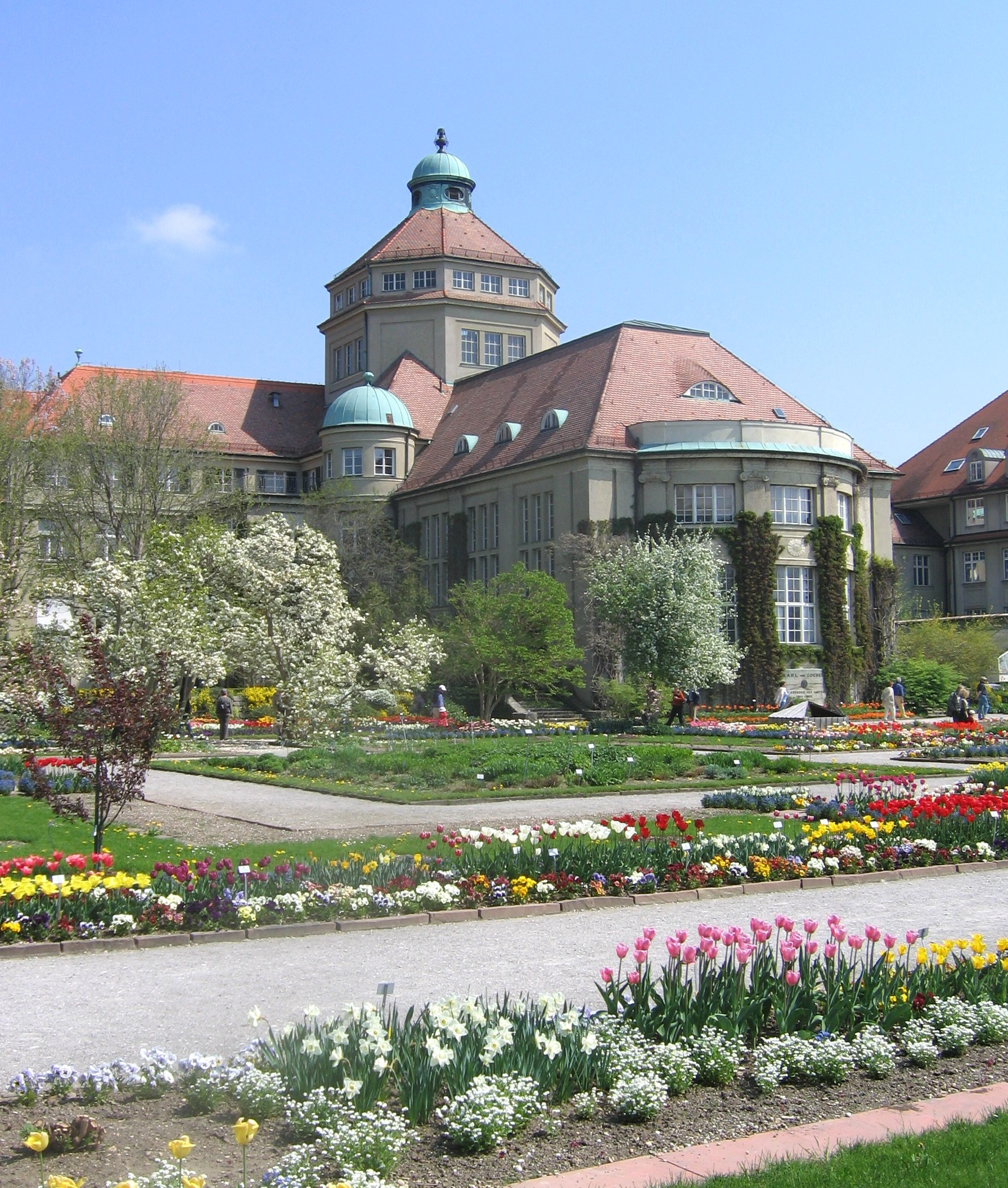 München Botanischer Garten
 Botanischer Garten München