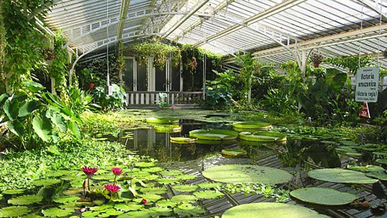 München Botanischer Garten
 Botanischer Garten lange geschlossen Sanierungsarbeiten