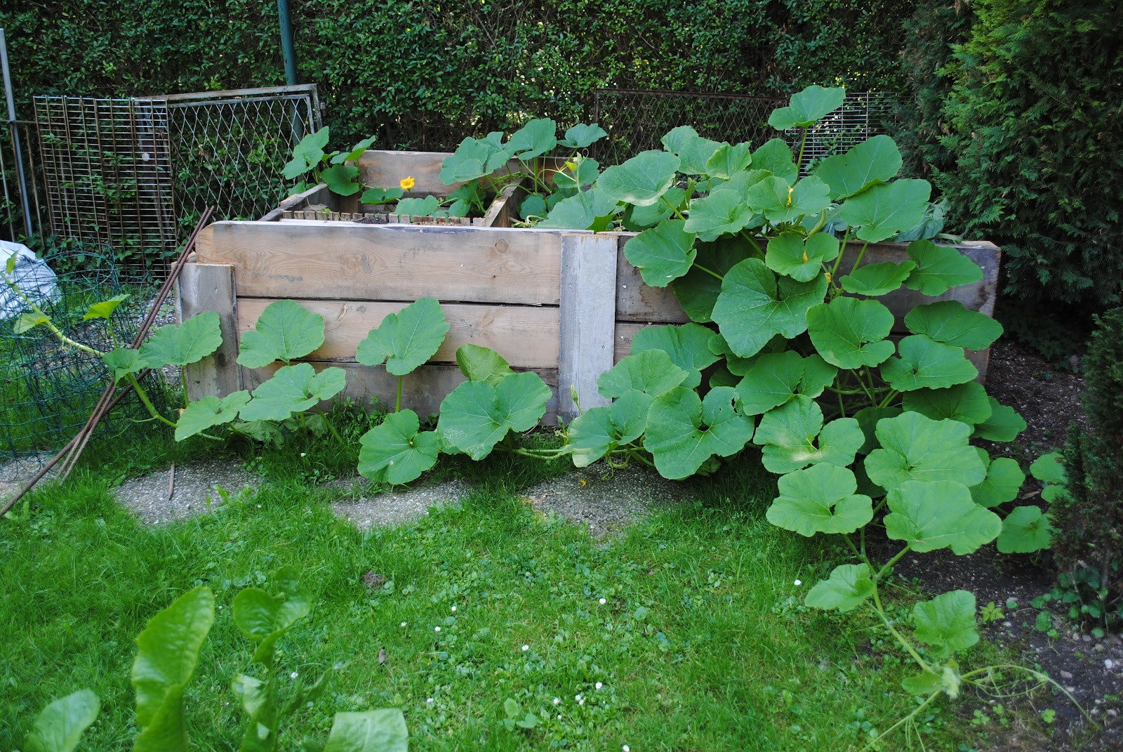 Neulich Im Garten
 Was Kommt Ins Hochbeet