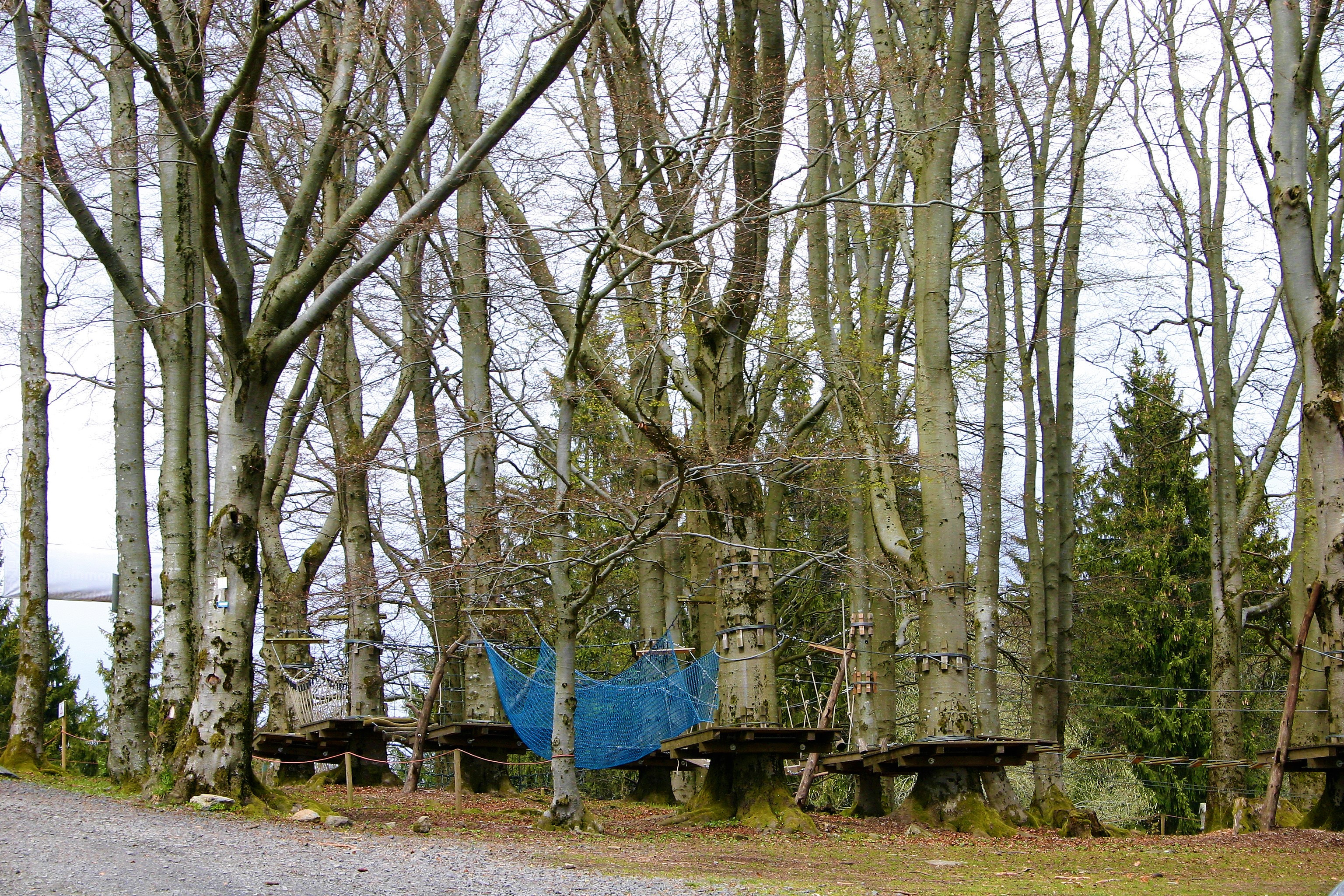 Neustädter Haus
 Neustädter Haus – kleiner Ausflug in bayerische Rhön