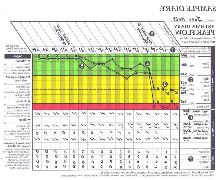 Peak Flow Werte Tabelle
 Asthma Peak Flow Meter – Darmge