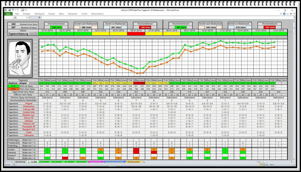 Peak Flow Werte Tabelle
 Peak Flow Meter Software zur Auswertung Asthma Tagebuch