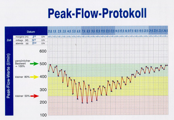 Peak Flow Werte Tabelle
 PEAK FLOW METER MESSUNGEN