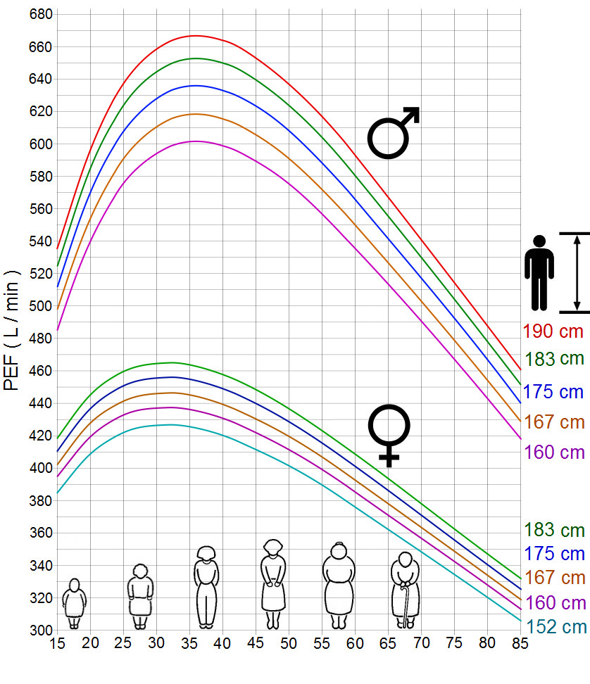 Peak Flow Werte Tabelle
 Datei Normal values for Peak Expiratory Flow PEF EU