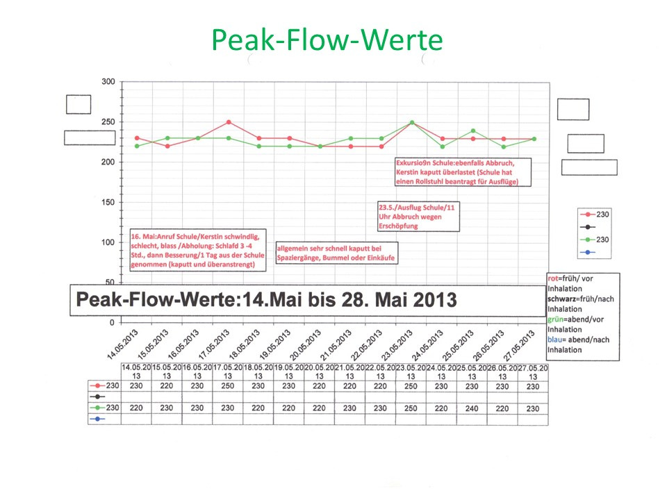 Peak Flow Werte Tabelle
 berichte