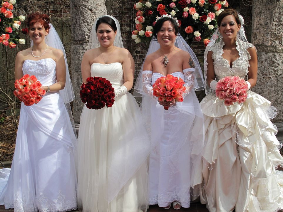 Perfekte Hochzeit
 Die perfekte Hochzeit Hochzeit im Haifischbecken sixx